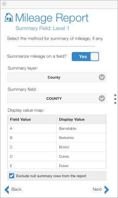 Exclude null summary rows from the report